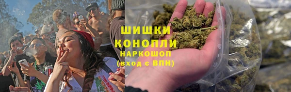 прущие грибы Володарск