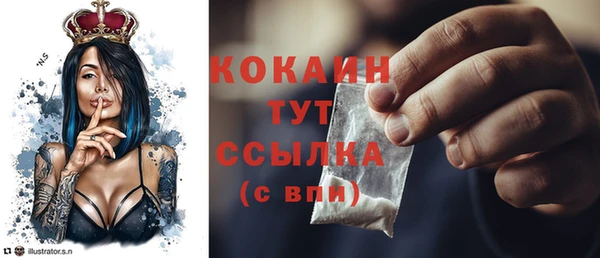 эйфоретик Вяземский