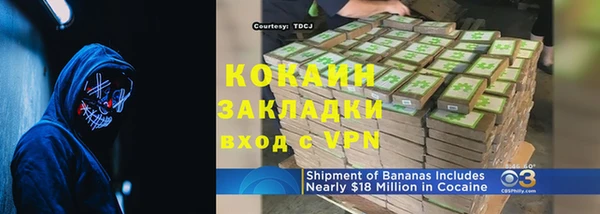 эйфоретик Вяземский