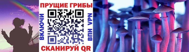 Псилоцибиновые грибы Magic Shrooms  Купить  Лихославль 
